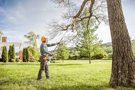 Best Emergency Tree Removal  in Clinton, SC